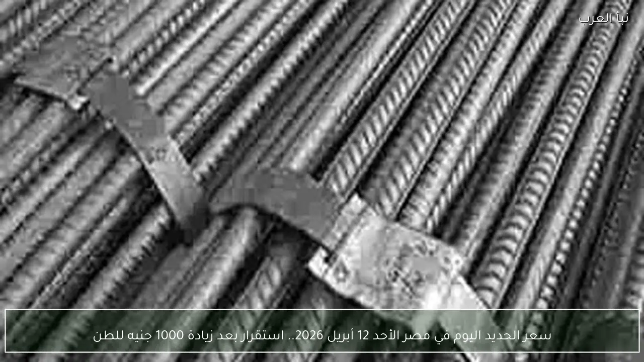سعر الحديد اليوم في مصر الأحد 12 أبريل 2026.. استقرار بعد زيادة 1000 جنيه للطن