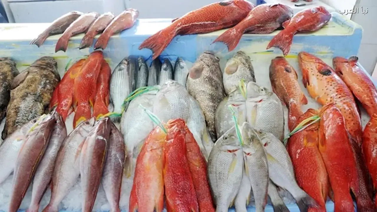 أسعار الأسماك والمأكولات البحرية اليوم في سوق العبور