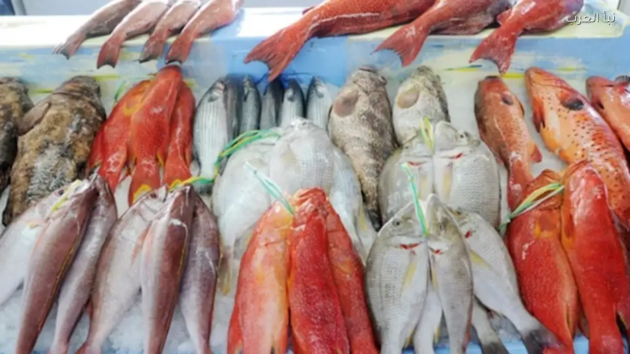 أسعار الأسماك والمأكولات البحرية اليوم في سوق العبور