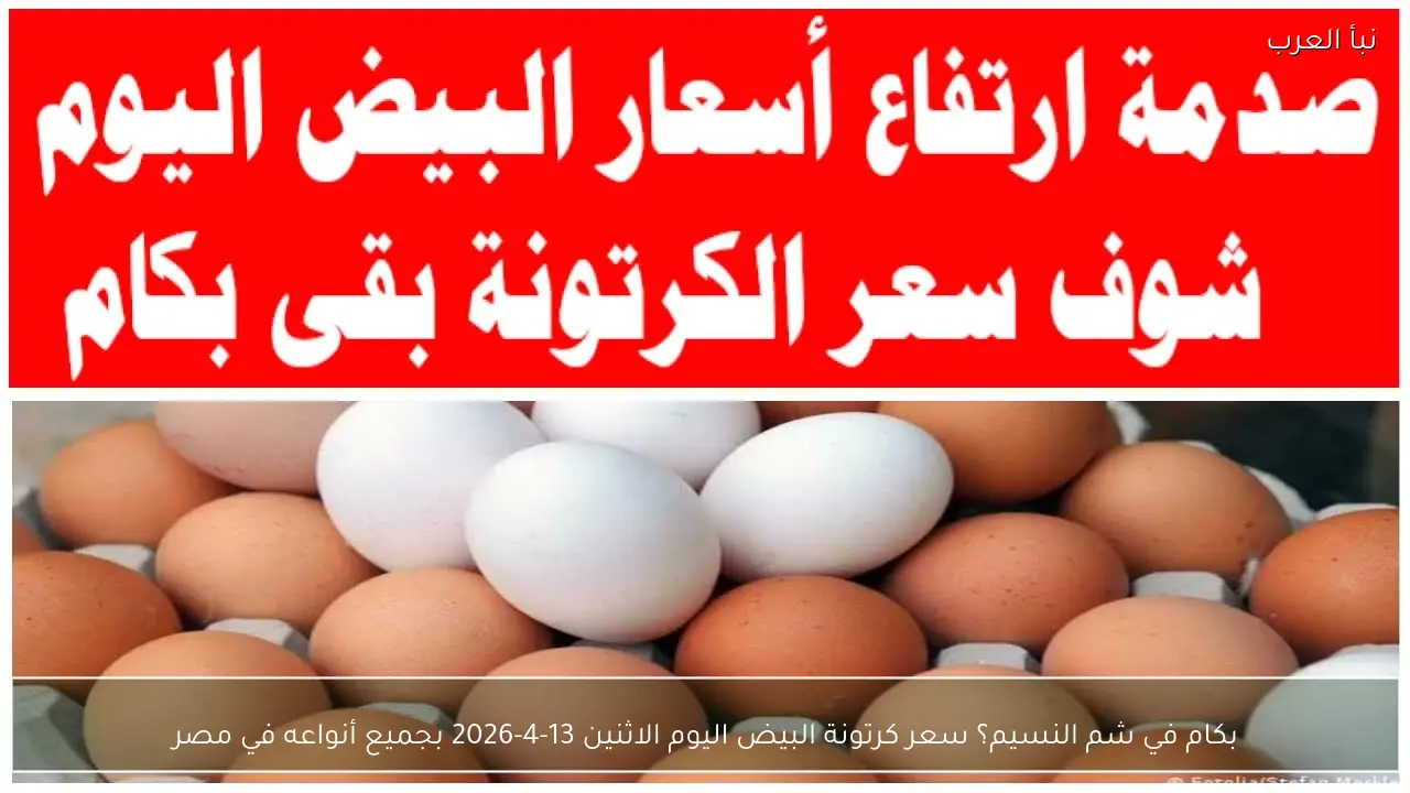 بكام في شم النسيم؟ سعر كرتونة البيض اليوم الاثنين 13-4-2026 بجميع أنواعه في مصر