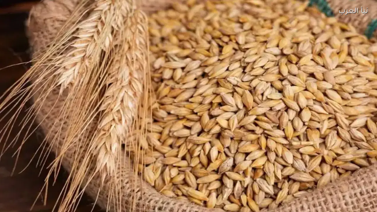 سعر طن الأرز الشعير اليوم الخميس 16 أبريل 2026 في الاسواق المحلية