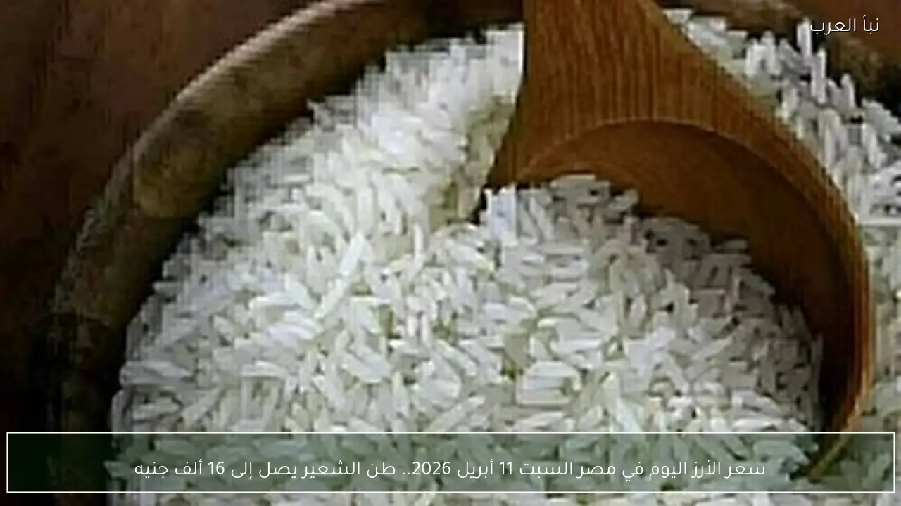 سعر الأرز اليوم في مصر السبت 11 أبريل 2026.. طن الشعير يصل إلى 16 ألف جنيه