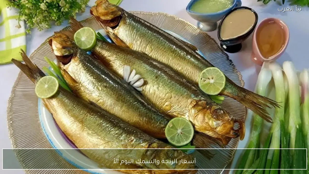 أسعار الرنجة والسمك اليوم الأحد 12 ابريل 2026 قبل الاحتفال بشم النسيم