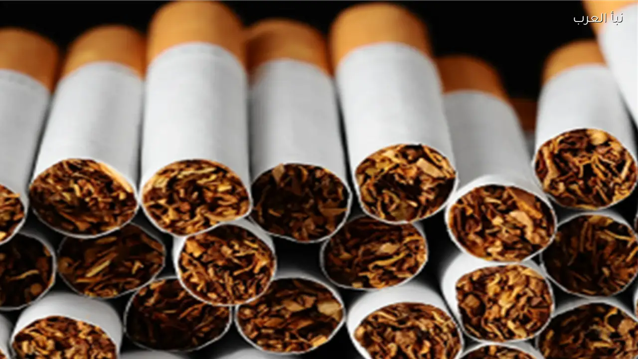 أسعار السجائر اليوم الأربعاء 15 إبريل 2026 المحلية والمستوردة في مصر