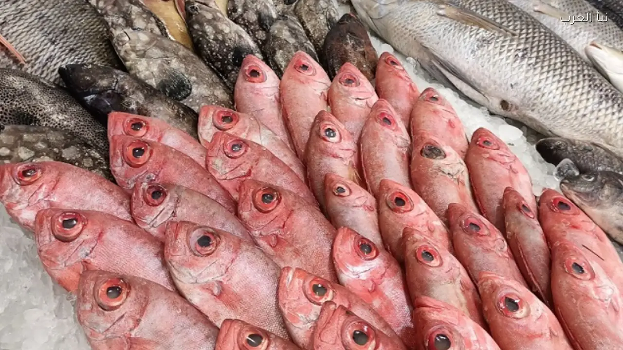 أسعار السمك اليوم الخميس 16 أبريل 2026 في سوق العبور للمستهلك