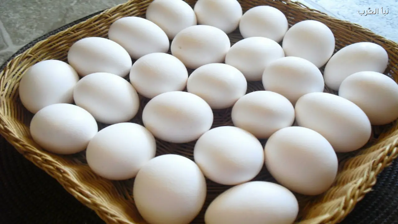 أسعار كرتونة البيض اليوم الاثنين 13 ابريل 2026 وفق جهود الدولة لتطوير القطاع