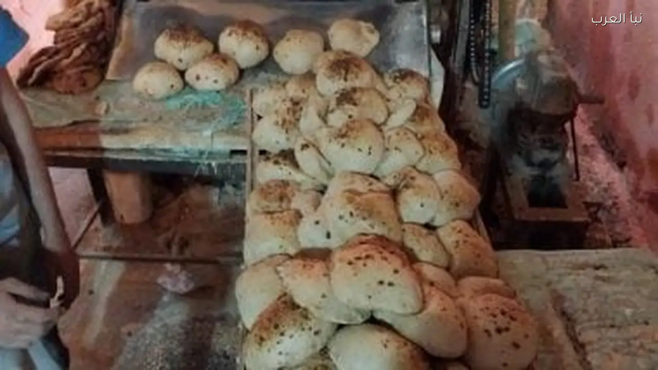 تكثيف الرقابة على المخابز خلال الأيام المقبلة.. هل تسهم في تحسين جودة الخبز؟