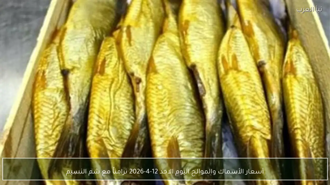 أسعار الأسماك والموالح اليوم الاحد 12-4-2026 تزامناً مع شم النسيم