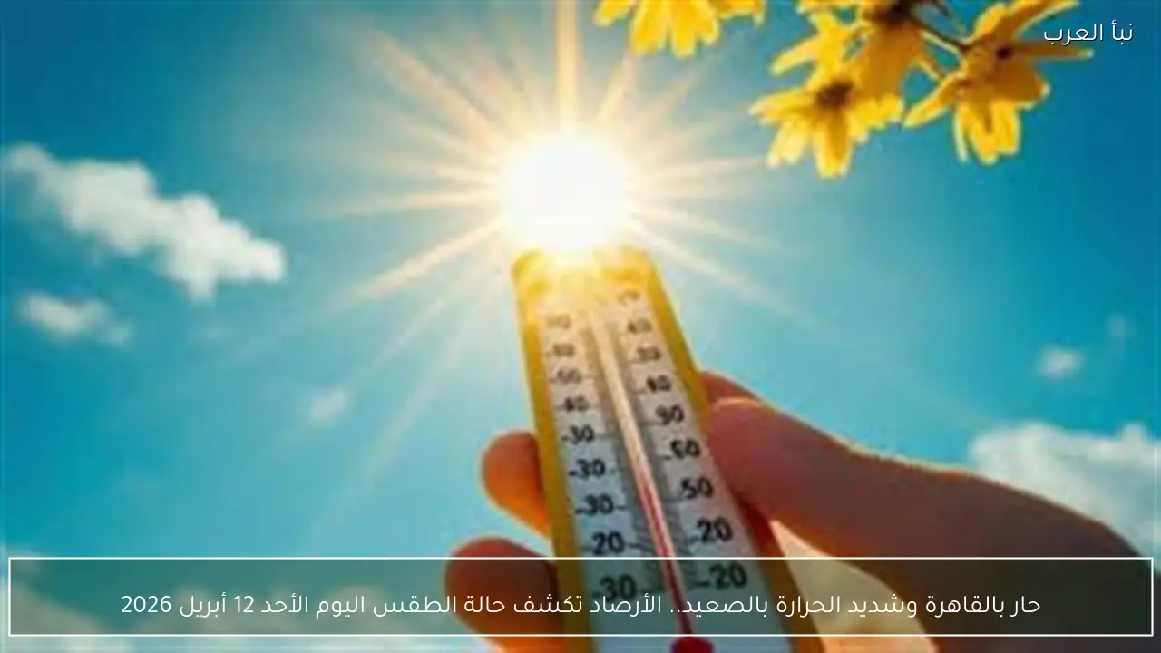 حار بالقاهرة وشديد الحرارة بالصعيد.. الأرصاد تكشف حالة الطقس اليوم الأحد 12 أبريل 2026