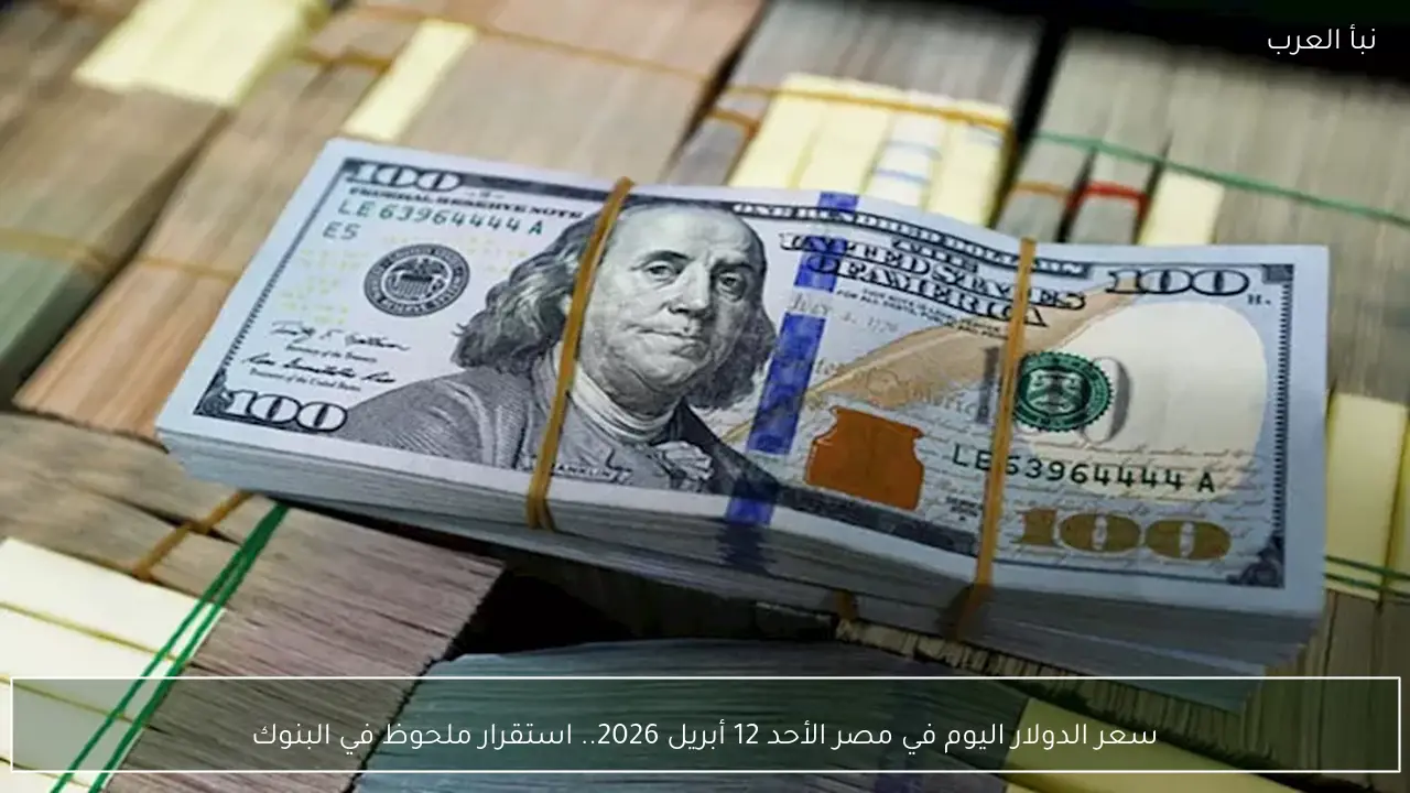 سعر الدولار اليوم في مصر الأحد 12 أبريل 2026.. استقرار ملحوظ في البنوك