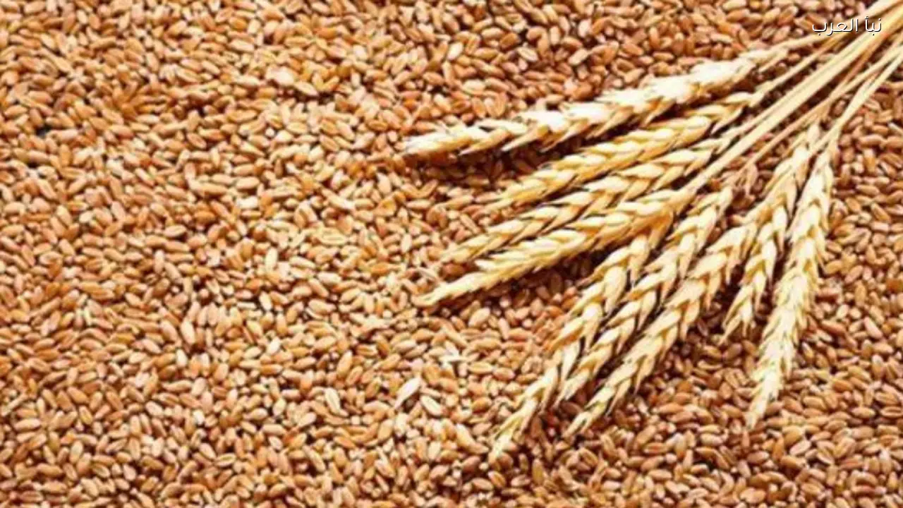 سعر طن الأرز الشعير اليوم الاثنين 13 أبريل 2026 في الاسواق والمحلات التجارية